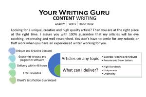 Portfolio for Your Professional Writing Guru